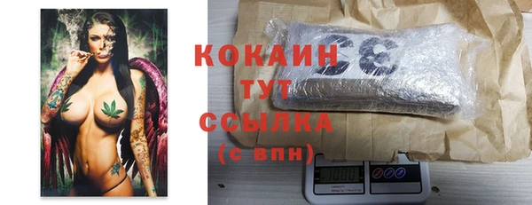 spice Алексин
