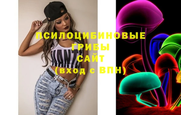 Альфа ПВП Алзамай