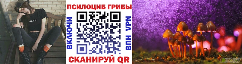 Галлюциногенные грибы GOLDEN TEACHER  omg онион  Фатеж  наркотики 